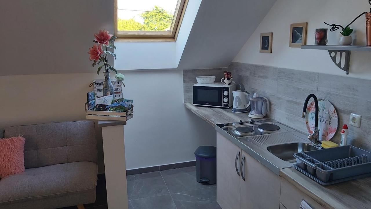 Studio Apartman Grizzly Slunj Exterior foto